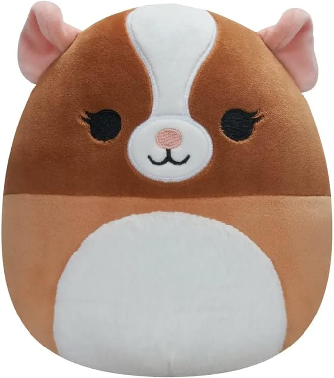 Garret the Guinea Pig Squishmallow Review